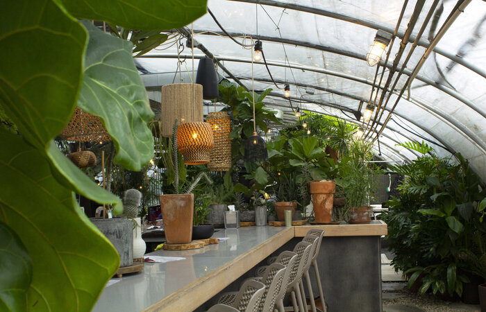 Greenhouse_Bar